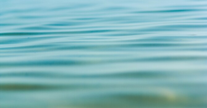 7 Myths about Psychiatric Medications