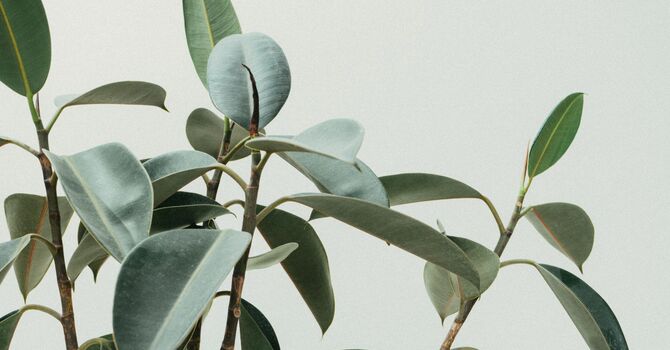 Thinking about Antianxiety Medications for the First Time